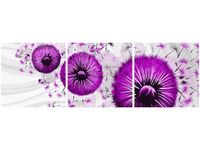 product-compare-58673168