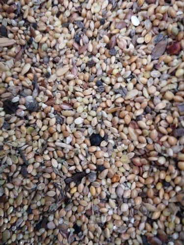 KARMNIKI DLA PTAKÓW PLASTIKOWE KARMNIK WISZĄCY DO KARMY I SŁONECZNIKA na Arena.pl