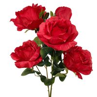 Bukiet róża gigant x5 czerwony