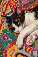 product-compare-59407752