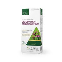 Wierzbownica drobnokwiatowa układ moczowy Medica Herbs