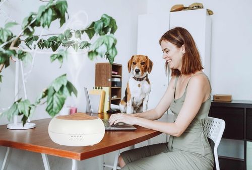 AROMA ZEN markowy EKO dyfuzor ultradźwiękowy na Arena.pl