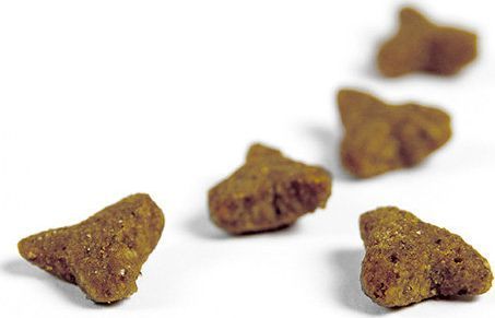 Josera Sensicat 2kg na Arena.pl