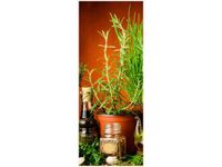 product-compare-58645351