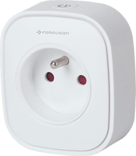 FERGUSON SMART WIFI FS2PG INTELIGENTNE GNIAZDKO na Arena.pl