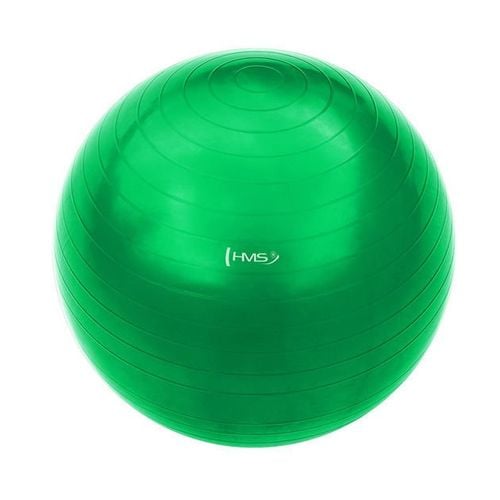 Piłka gimnastyczna YB01 (PG 65 cm) HMS na Arena.pl