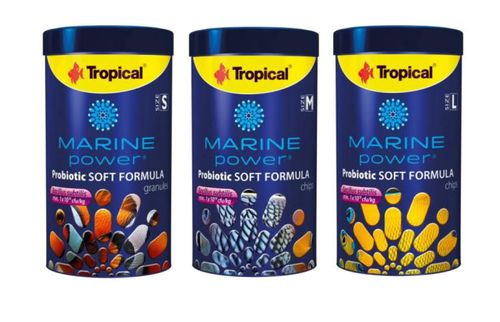 Tropical Mp Probiotic Soft Formula L 100Ml na Arena.pl