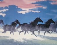 Plakat 76x60,5cm Wolność i Swoboda