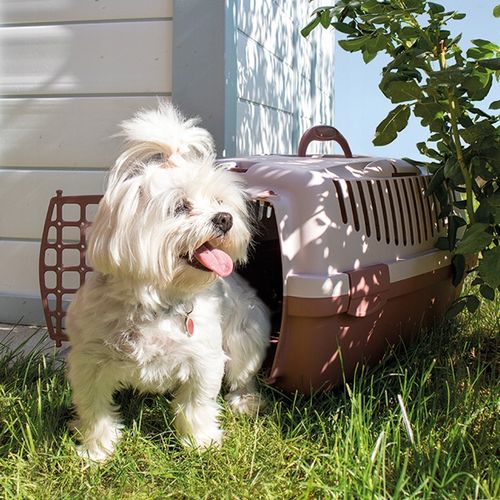 TRANSPORTER DUŻY kojec klatka domek box GULLIVER 2 dla KOTA KRÓLIKA PSA na Arena.pl