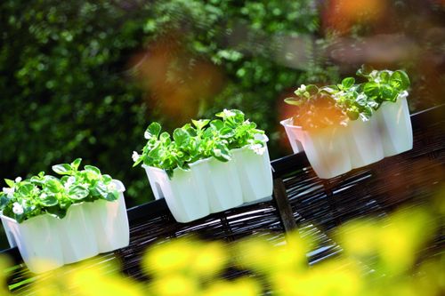 Doniczka na balustradę CROWN DCRO400 | Biały na Arena.pl