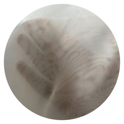 Firanka Seferis 400 x 140 cm DomoweTekstylia | WN40S1 414 na Arena.pl