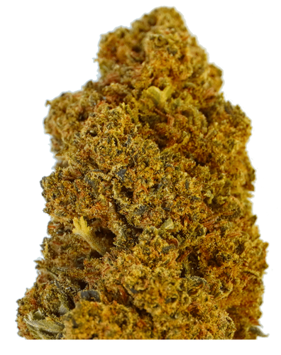 Susz CBD konopny Lemon Tree 20G na Arena.pl