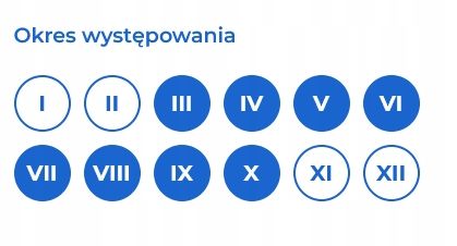 BROS VITROL GB naturalny granulat na ślimaki bezpieczny dla zwierząt 1kg na Arena.pl