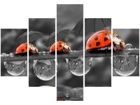 70 100CM OBRAZ 5 ELEM SPACEREK DRUK PŁÓTNO