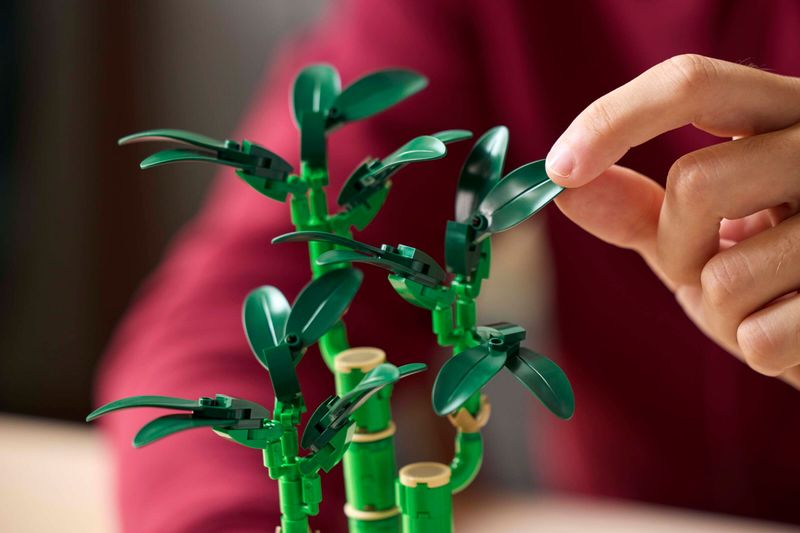 LEGO Botanical Collection Dracena sandera w doniczce 10344 zdjęcie 8