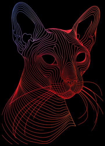 Plakat 50x70cm Cyfrowa Kocica na Arena.pl