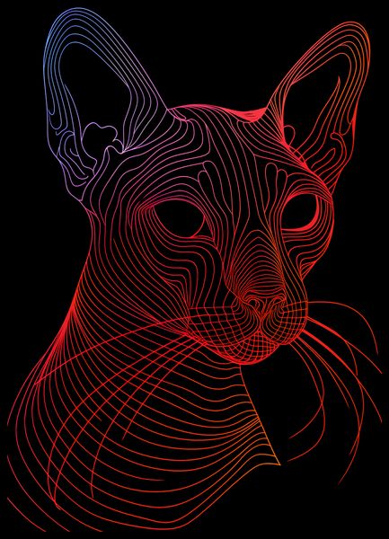 Plakat 50x70cm Cyfrowa Kocica zdjęcie 2