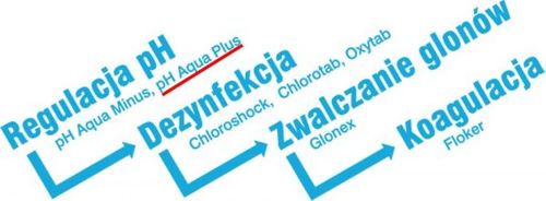 Preparat do basenu AQUA pH PLUS na Arena.pl