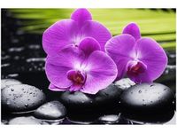 60X40CM KAMIENIE STORCZYKI OBRAZ