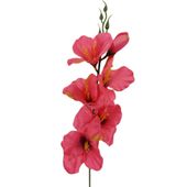 Mieczyk pojedynczy dk pink 12 szt