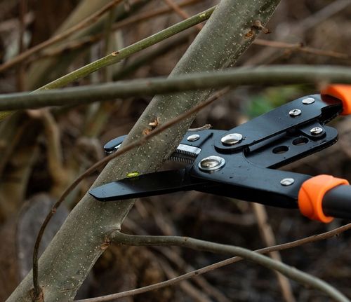 SEKATOR DO GAŁĘZI OGRODOWY KOWADEŁKOWY DUŻY MOCNY na Arena.pl