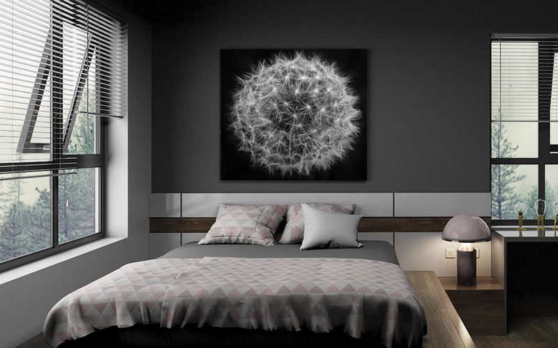 Foto obraz na płótnie "Dmuchawiec" 40x40 zdjęcie 1