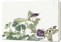 Obraz 70x50cm Motyl z Kwiatem Morimoto Toko Japoński Vintage do Salonu