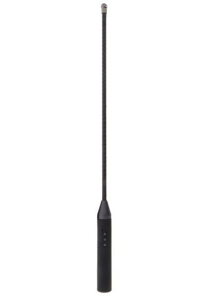 Extreme Electro Cane Hidden Desire zdjęcie 3