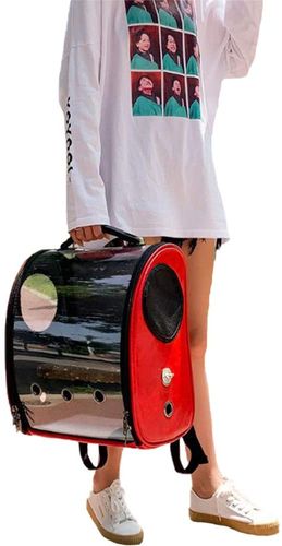 TRANSPORTER DLA PAPUG PTAKÓW NIMF ŻAKO GRZĘDA 2kol na Arena.pl