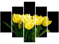 105CM 150CM OBRAZ 5 ELEM ŻÓŁTE TULIPANY- MARK FREETH DRUK