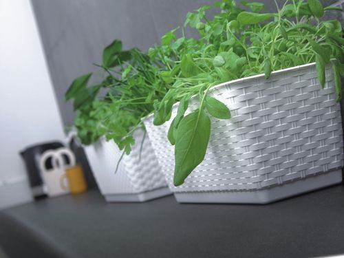 Doniczka podłużna DRL500P z podstawką | Antracyt na Arena.pl