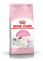 Sucha karma dla kota Royal Canin Mother & BabyCat 2 kg
