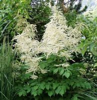 product-compare-48116089