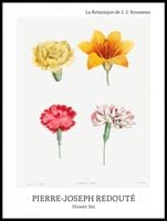 Plakat 60x80cm Design Flower Set, Redoute Vintage do Salonu