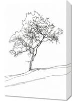 Obraz 40x60cm Drzewo w Zarysie