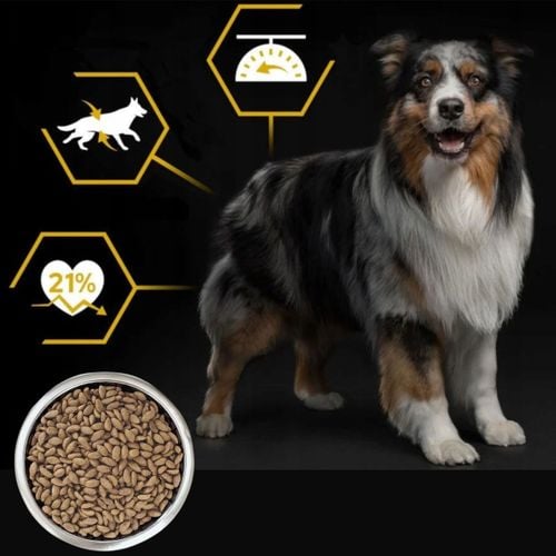 sucha karma dla psa purina pro plan kurczak 16.5 kg psy po sterylizacji na Arena.pl