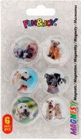 magnesy do tabl.szk.30/6 p/kot 4756