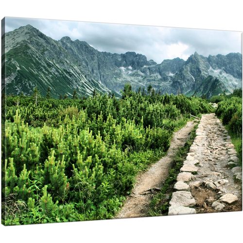 Obraz Na Płótnie 40X30 Kamienista Droga na Arena.pl