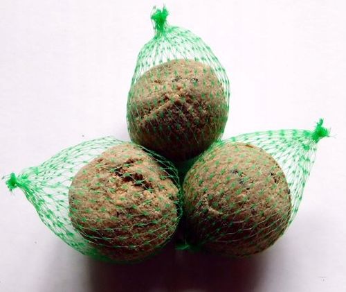 Kule Pyzy Tłuszczowe Pokarm Zimowy dla Dzikich Ptaków 100szt ZESTAW na Arena.pl