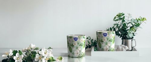 aura świeca zapachowa baśniowa kraina 22h sn72s-56 na Arena.pl