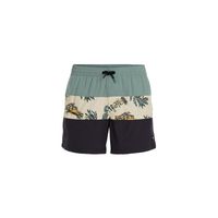 Szorty kąpielowe O'Neill Mix&Match Cali Block 15'' M 92800613824 L