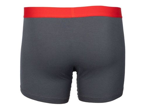 Bokserki Nasa Boxer Basic-Worm Anthracite-Re NASA-BOXER24 M na Arena.pl