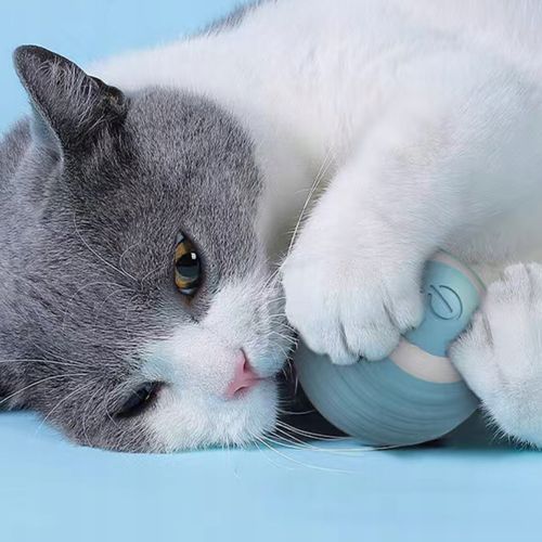 PIŁKA DLA KOTA AUTOMATYCZNA INTERAKTYWNA INTELIGENTNA ZABAWKA ROZRYWKA na Arena.pl