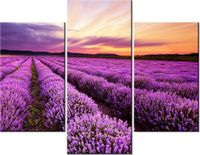 product-compare-58710956