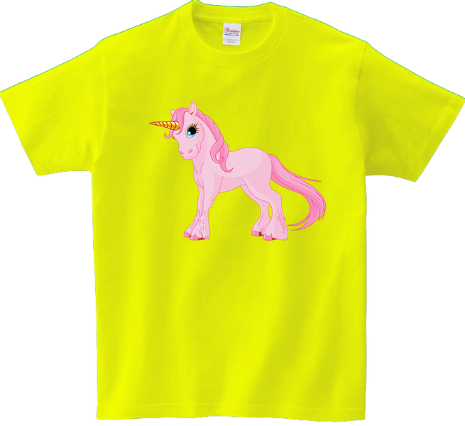 Koszulka T-shirt Jednorożec zdjęcie 1