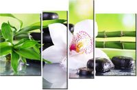 product-compare-58696732