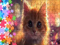 Puzzle tradycyjne Zwierzęta - Kot