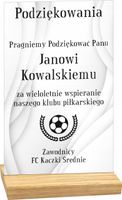 STATUETKA z nadrukiem GRATULACJE PODZIĘKOWANIA TWÓJ TEKST plexi 25cm
