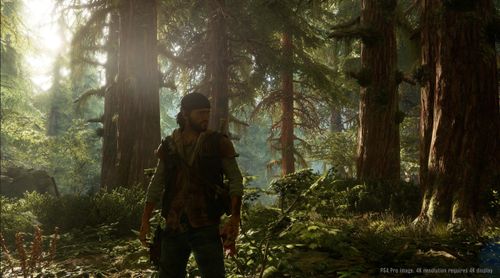 Gra PS4 Days Gone (Kompatybilna z PS5) na Arena.pl