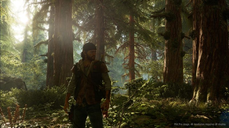 Gra PS4 Days Gone (Kompatybilna z PS5) zdjęcie 7